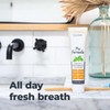 Oxyfresh Pro Formula Fresh Mint Toothpaste – Gentle Low Abrasion
