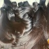 100% Raw Vietnamese Double Weft Cuticle Aligned Human Hair Raw