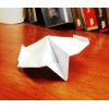 white wings Wicked Awesome Paper Airplane (Set of 2) -