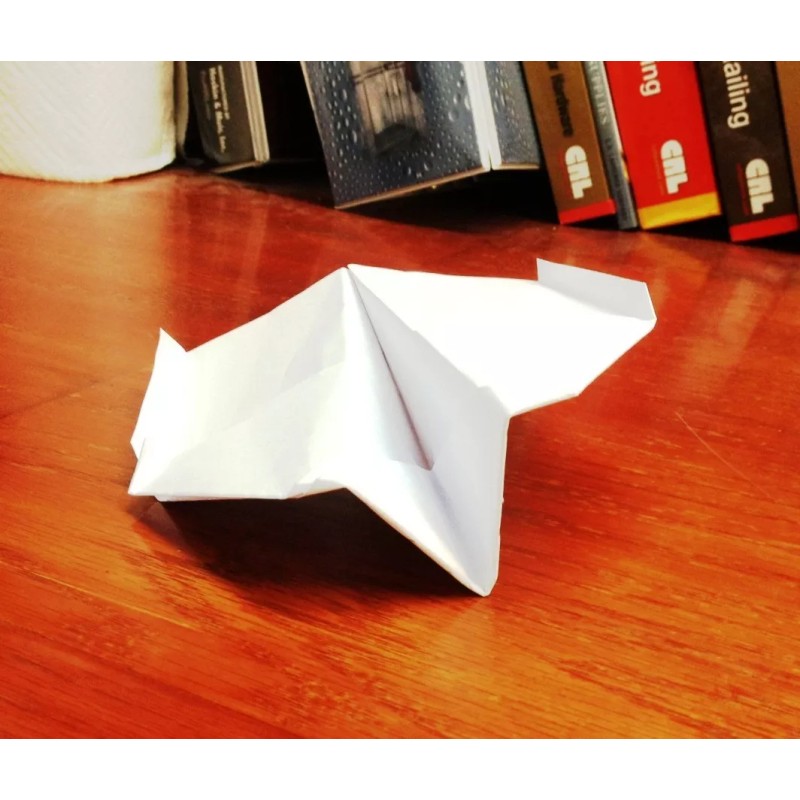 white wings Wicked Awesome Paper Airplane (Set of 2) -