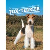 Le Fox terrier