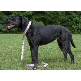 Country Brook Petz - May Flowers Martingale Dog Collar and Leash - Floral Collection Featuring Charming Designs (1 Inch, Medium)