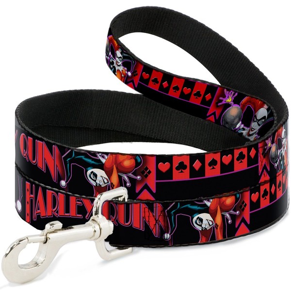 Buckle-Down Dog Collar Seatbelt Buckle, Multicolor, 6 Feet Long -