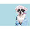 Bathora no rinse waterless coloful dotted Shower Caps for Women,
