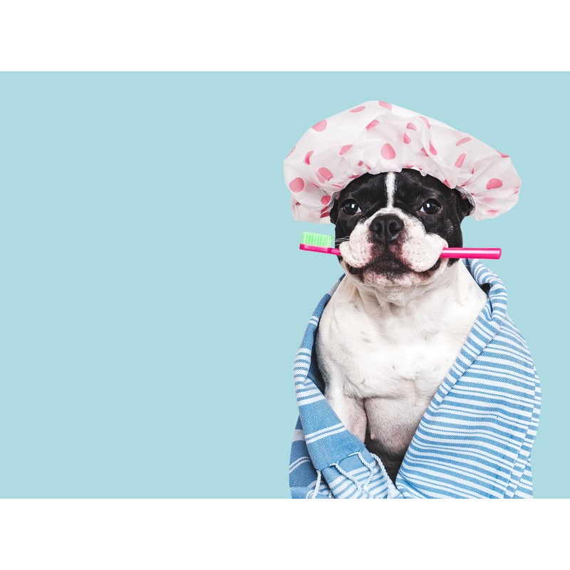 Bathora no rinse waterless coloful dotted Shower Caps for Women,