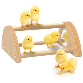 Chick Perch with Mirror – Sturdy Wooden Roosting Bar for Coop & Brooder, Training Perch for Chicks, Easy to Assemble & Clean, Fun Activity Toy for Poultry