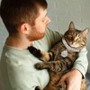 Hillban Cat Collar Diamond Chain Glitter Collar Walking Metal with