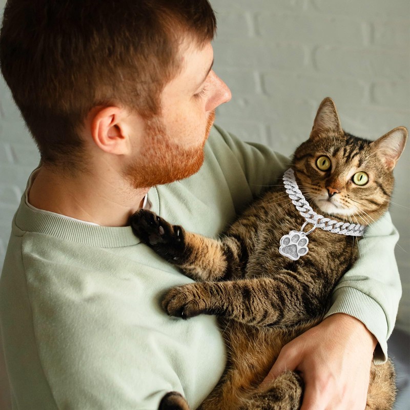 Hillban Cat Collar Diamond Chain Glitter Collar Walking Metal with