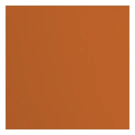 Florence Cardstock Textured - Coloured Card Making Supplies 12 x 12 inch - Brown - 20 Sheets - Coloured Paper for Scrapbooking, Card Making, Die Cutting and Paper Crafts - 216 GSM - Fox