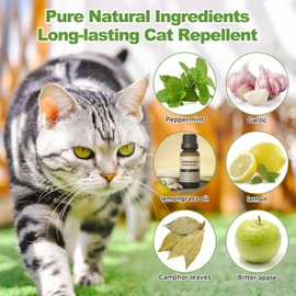Cat Deterrent Outdoor, Dog Deterrent, Natural Peppermint Oil Cat&Dog Deterrent Outdoor and Indoor, Keep Cats Out of Yard Permanently, Protect Your Yard and Furniture,12 Count (Pack of 1 Green)