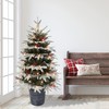 4.5 ft Pre-lit Potted Flocked Halifax Fir Tree, 739 Tips,