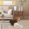 Full House Dog Doorbell for Potty Training, Wireless Pet Doggie
