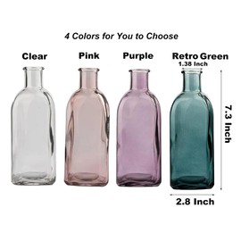 Coastal Style Large Clear Vases Set of 2, Nordic Minimalist Glass Vase, Modern & Simple Glass Modern Home Suit for Dining Table, Bookshelf, Entryway Decoration (Purple)