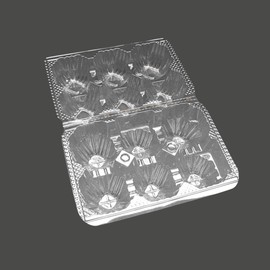 Eggs Pack of 6, Regular Large, 100