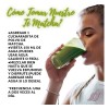 Matcha Orgánica Farmasi 100g