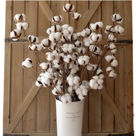 idyllic Cotton Stems Decor Branches, Cotton Flowers Plants for Decorations, Dried Flowers for Vase, Pack of 6-31 Inches Tall - 12 Bolls per Stem