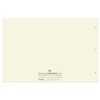BookFactory Ledger Pad/Large 13 Column Accounting Ledger Columnar (Thirteen Columns)