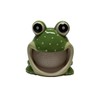 Ceramic Sponge/Scrubbie Holder (Frog)