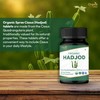 ORGANIC SPREE HADJOD - CISSUS 120 Tablets | Cissus Quadrangularis