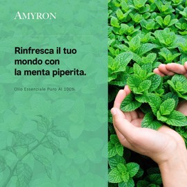 Ätherisches Pfefferminzöl AMYRON 30 ml - 100% Natürlich Und Rein: Ideal Für Aromatherapie/Ätherische Öldiffusoren/Entspannende Massagen Und Den Einsatz In Lebensmitteln.