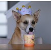 Puppy Scoops Dog Ice Cream Mix Variety Pack, 4 Flavors,