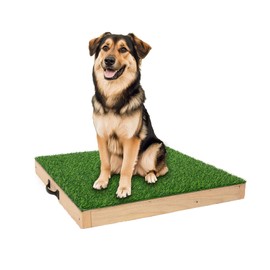 Adorepaw Dog Training Platform for Large Dogs, Place Boards for Dog Training, Portable Agility Training Equipment for Dogs Durable Hunting Dog Platform for Indoor or Outdoor Use