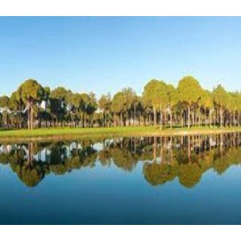 BASF Black Onyx Lake and Pond Colorant ( 1 GL ) Will Not Harm Fish Waterfowl Animals