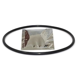 DEX2400Z5 O-Ring for Hayward Outlet Elbow for Micro-Clear & Pro-Grid D.E. Filters & Swim-Clear & HCF Cartridge Filters + Lubricating Grease