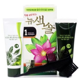 Prana Saxol Well-Being Color Cream Hair Dye/Dye that does not contain lacquer, New Saxol No. 2 Natural Brown / 프라나 색솔 웰빙 칼라 크림 염색제/옻안타는 염색약, 뉴색솔 2호 자연갈색