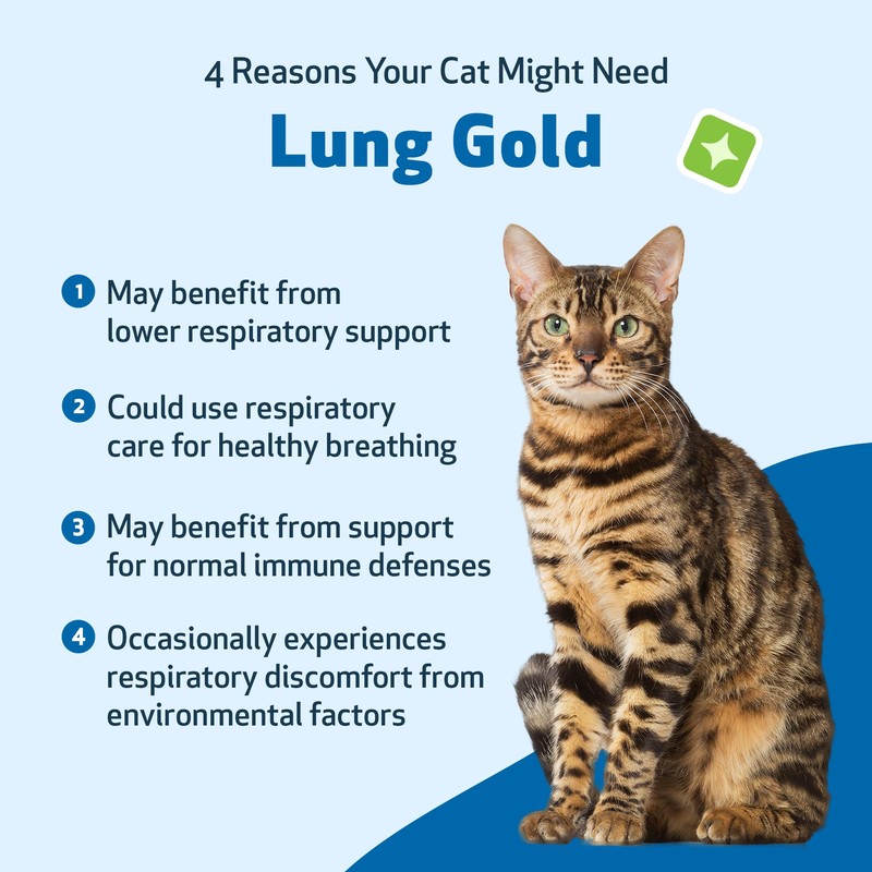 Pet Wellbeing Lung Gold for Cats - Lung Immune Support,