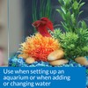 API BETTA WATER CONDITIONER Betta Fish Freshwater Aquarium Water Conditioner