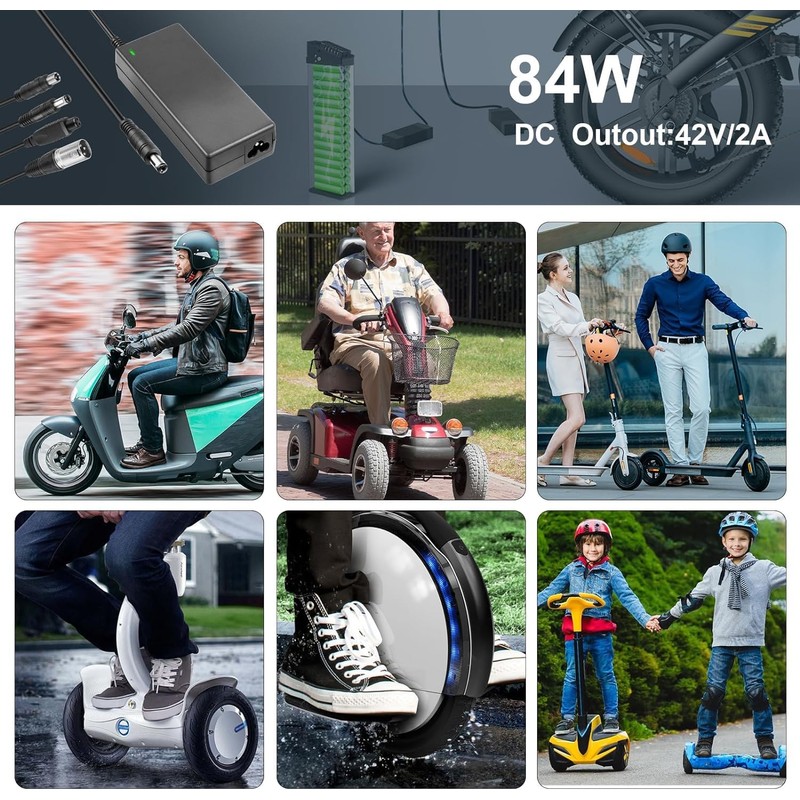 SGS Certified 42V 2A Scooter Charger with 5 Plugs Connections,