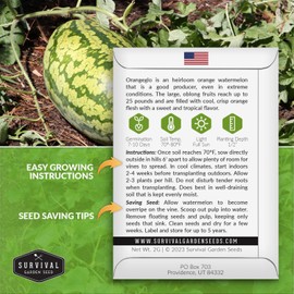 Orangeglo Watermelon Seed for Planting - 1 Packet with Instructions to Plant and Grow Orange Watermelon in Your Home Fruit Garden - Non-GMO Heirloom Variety - Survival Garden Seeds
