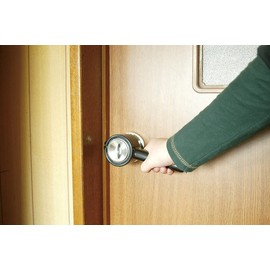 green pal door lever