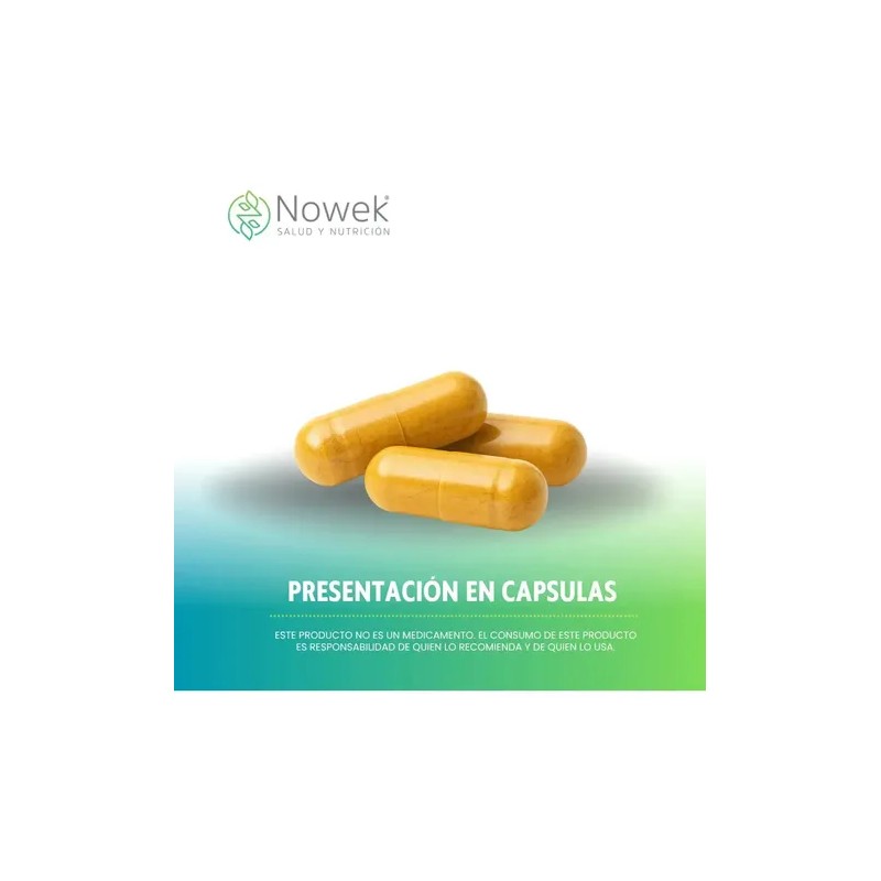 Cardo Mariano Extracto Concentrado | 60 Cápsulas Nowek Kit 3