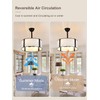 Curve Curio 20'' Caged Ceiling Fans with Lights, Fabric Fandelier