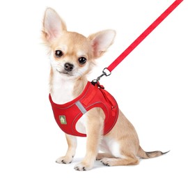 FEimaX Dog Harness and Leash Set, No Pull Breathable Soft Mesh Puppy Vest Harness Reflective Adjustable Pet Harnesses for Small Medium Dogs and Cats - Outdoor Easy Control for Walking