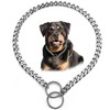 Choke Chain for Dogs,Heavy Metal Training Slip P Link Puppy