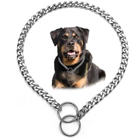 Choke Chain for Dogs,Heavy Metal Training Slip P Link Puppy Choker Martingale Collars for XXS XS Small Medium Large XL Breed Dogs (Silver, L)