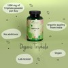 Vegavero Organic Triphala Powder 1300 mg | 180 Capsules (3-Month