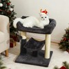 Hoopet 20-Inch Cat Tree Tower, Small Cat Scratching Post for