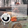 Fuel Cap and Oil Cap for STHIL Chainsaw MS290 MS310