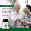 Emerald Labs Ginkgo Biloba 60 mg Extract - Supports Memory,