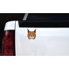StickerTalk Bobcat Vinyl Sticker, 4 inches by 5 inches