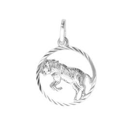 MyGold Zodiac Pendant 925 Sterling Silver (Without Chain) Round Diameter 12 mm Horoscope Zodiac Pendant Gavno MOD-07068, Silver, Aries