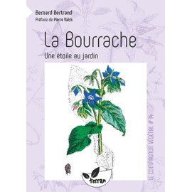 La Bourrache - Une étoile au jardin - Vol. 14