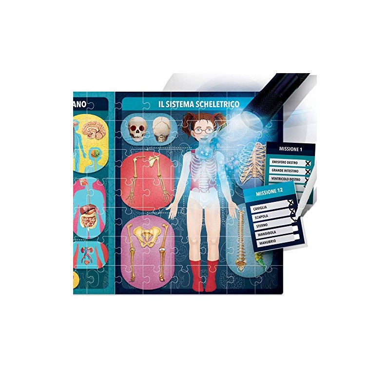 HEADU The Human Body A X-ray 505