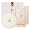 Dohwa 더후 공진향 설 미백 톤업 선 쿠션 세트 (본품1+리필2) The History of Whoo Gongjinhyang Seol Whitening Tone-Up Sun Cushion Set (1 Main + 2 Refills)