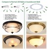 OLYMSTAR - Kit de luz LED de repuesto para ventilador