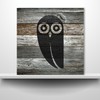 Owl Wise Snowy See Nature, quality mylar stencil pack in